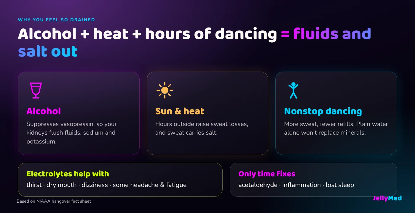 Infographic showing how alcohol, sun and hours of dancing pull fluids and electrolytes out of your body