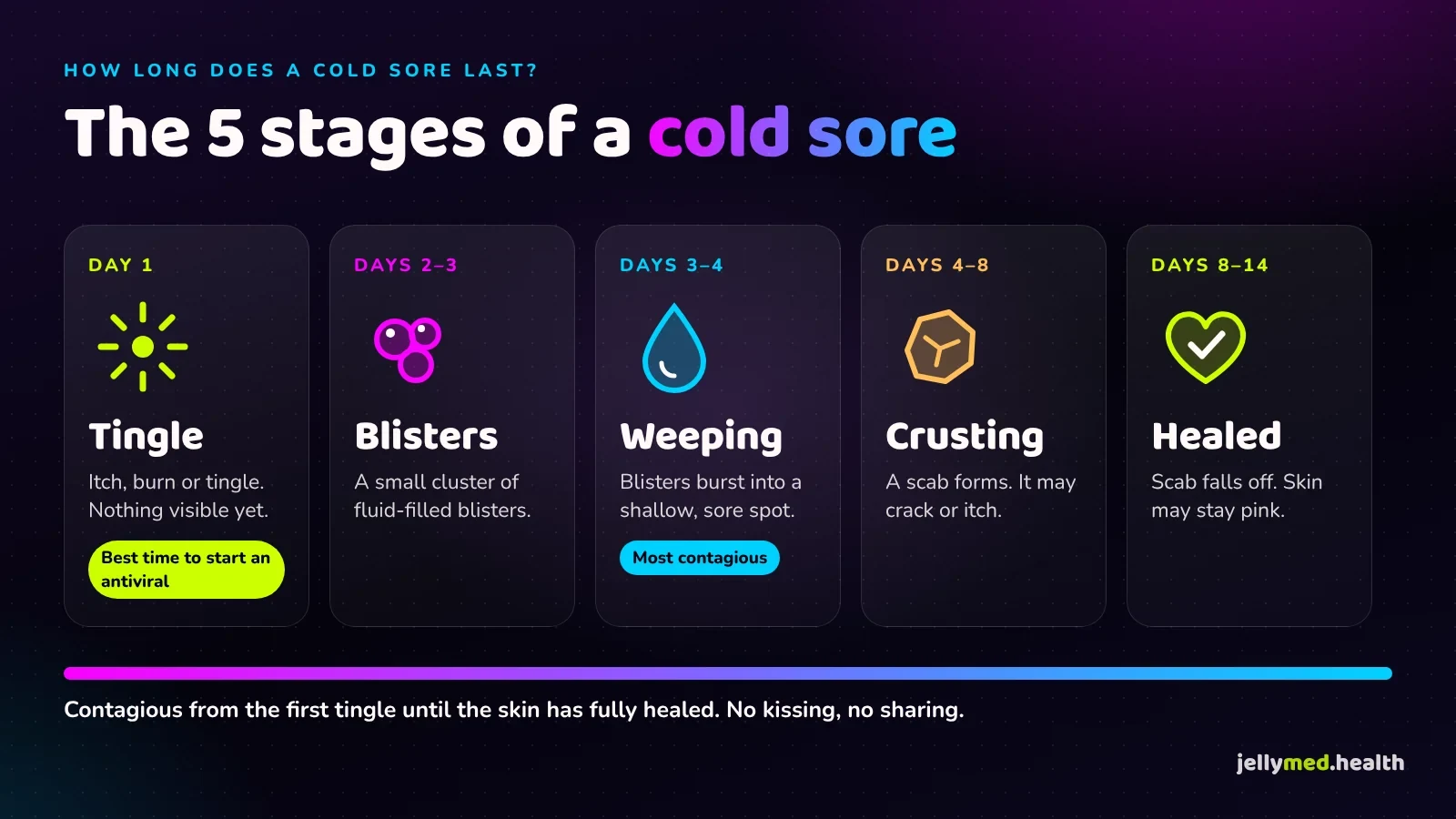 Timeline of cold sore stages from tingle to blisters, weeping, crusting and healing, in pink, aqua and lime on a dark background