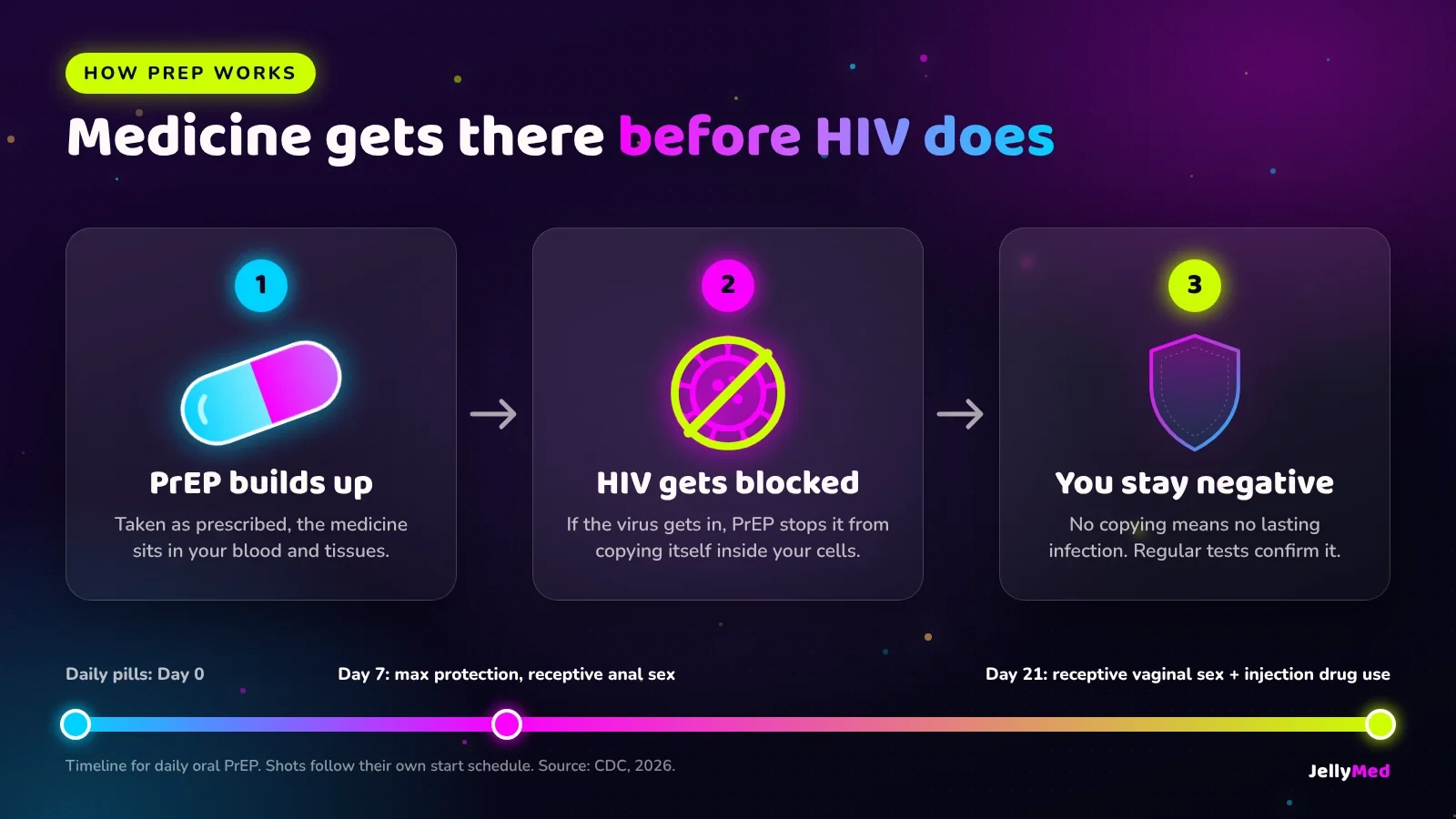 How PrEP works: medicine in the bloodstream blocks HIV from copying itself, with maximum protection after about 7 days for anal sex and 21 days for vaginal sex